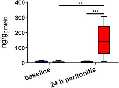 The Role of Glucocorticoid Receptor and Oxytocin Receptor in the Septic Heart in a Clinically Relevant, Resuscitated Porcine Model With Underlying Atherosclerosis